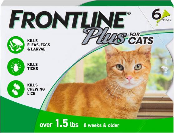 6PK FELINE FRONTLINE PLUS