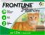 6PK FELINE FRONTLINE PLUS