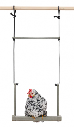 RECYCLED PLASTIC CHICKEN SWING