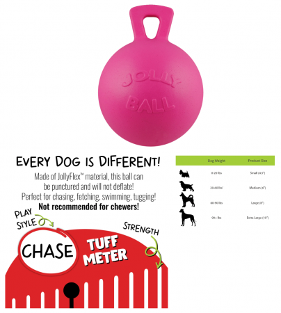 10" JOLLY HORSE BALL PINK