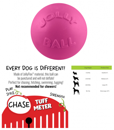 4.5" JOLLY BOUNCE N PLAY PINK