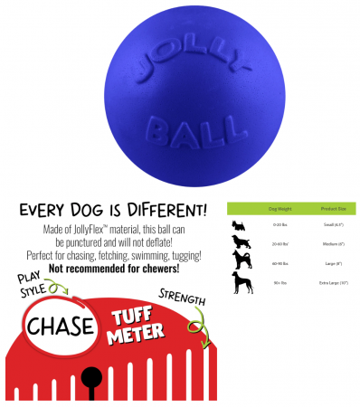 4.5" JOLLY BOUNCE N PLAY BLUE