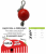 8" ROMP-N-ROLL JOLLY BALL RED
