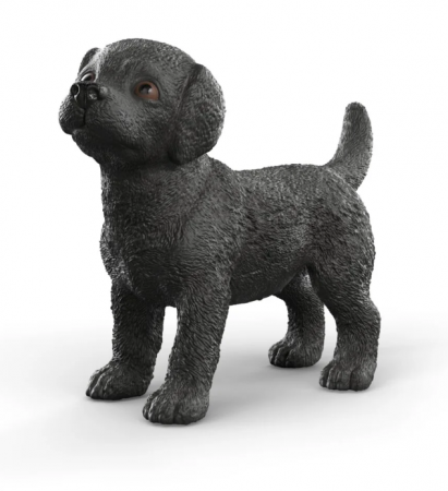 Black Labrador Retriever Puppy