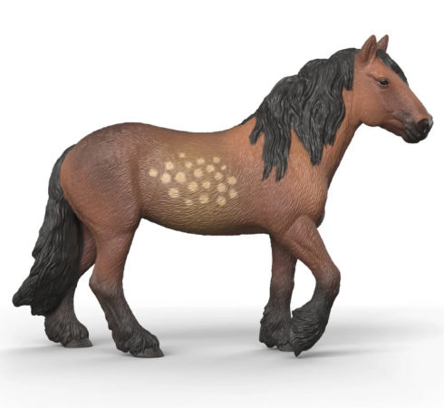 North Swedish Cold Blooded Mare
