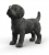 Black Labrador Retriever Puppy
