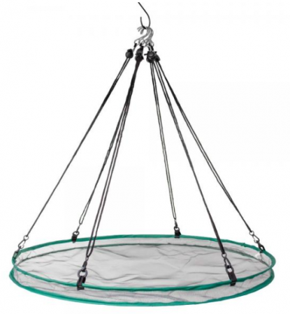 SEED HOOP 24"