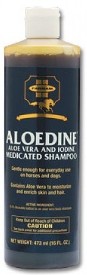 16OZ ALOEDINE SHAMPOO